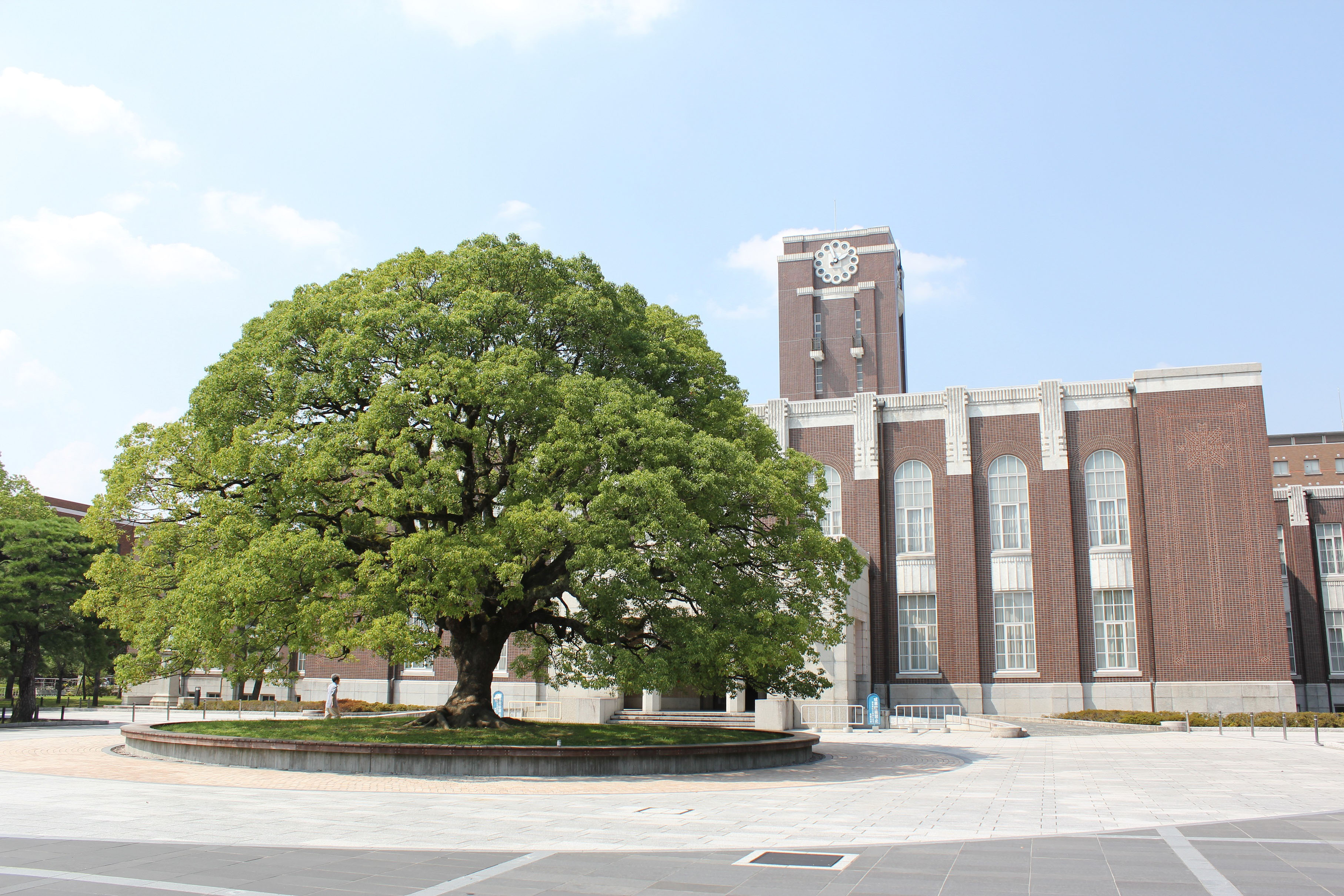 University japan. Университет Киото Япония. Университет тото Япония. Киотский Императорский университет. Киотский университет в Японии.